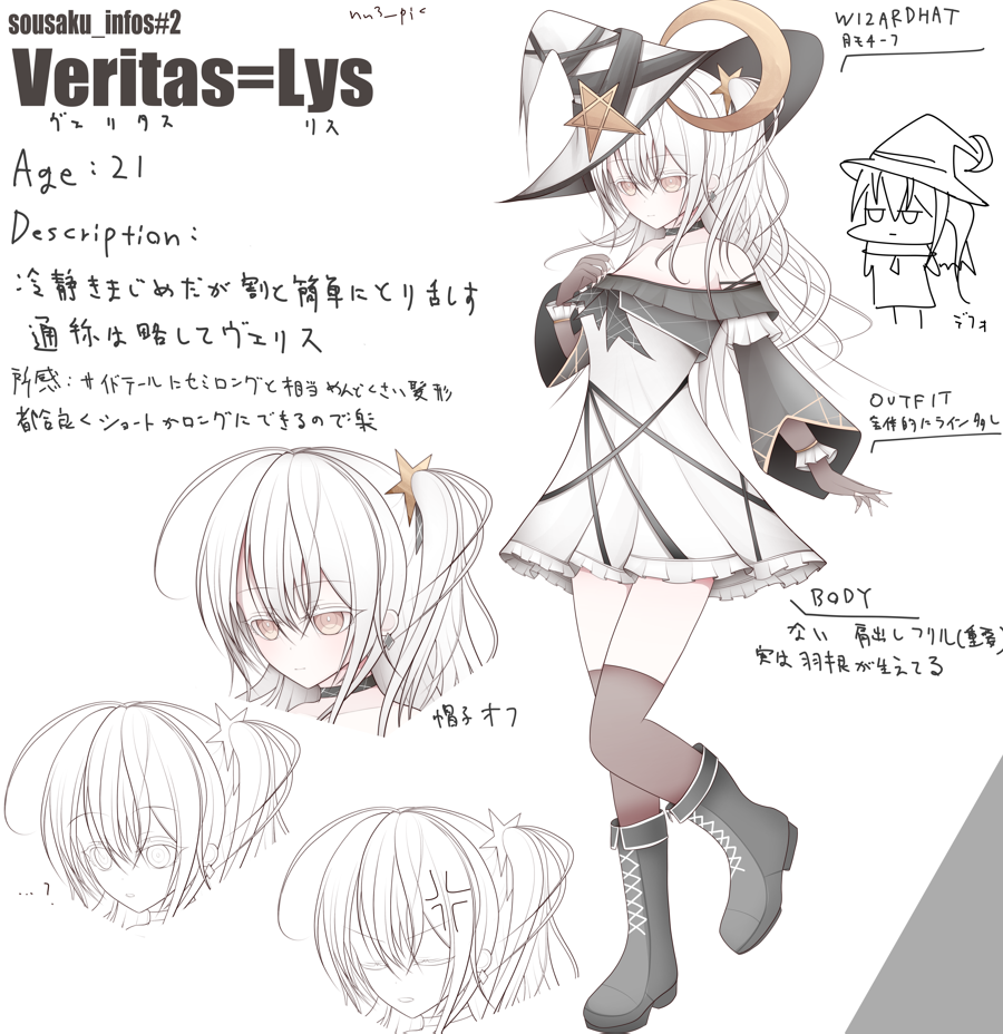 Veris補足画像